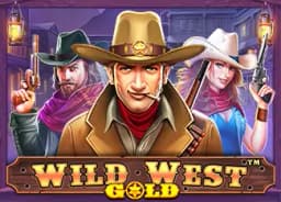 sevenlernakliyat: Wild West Gold